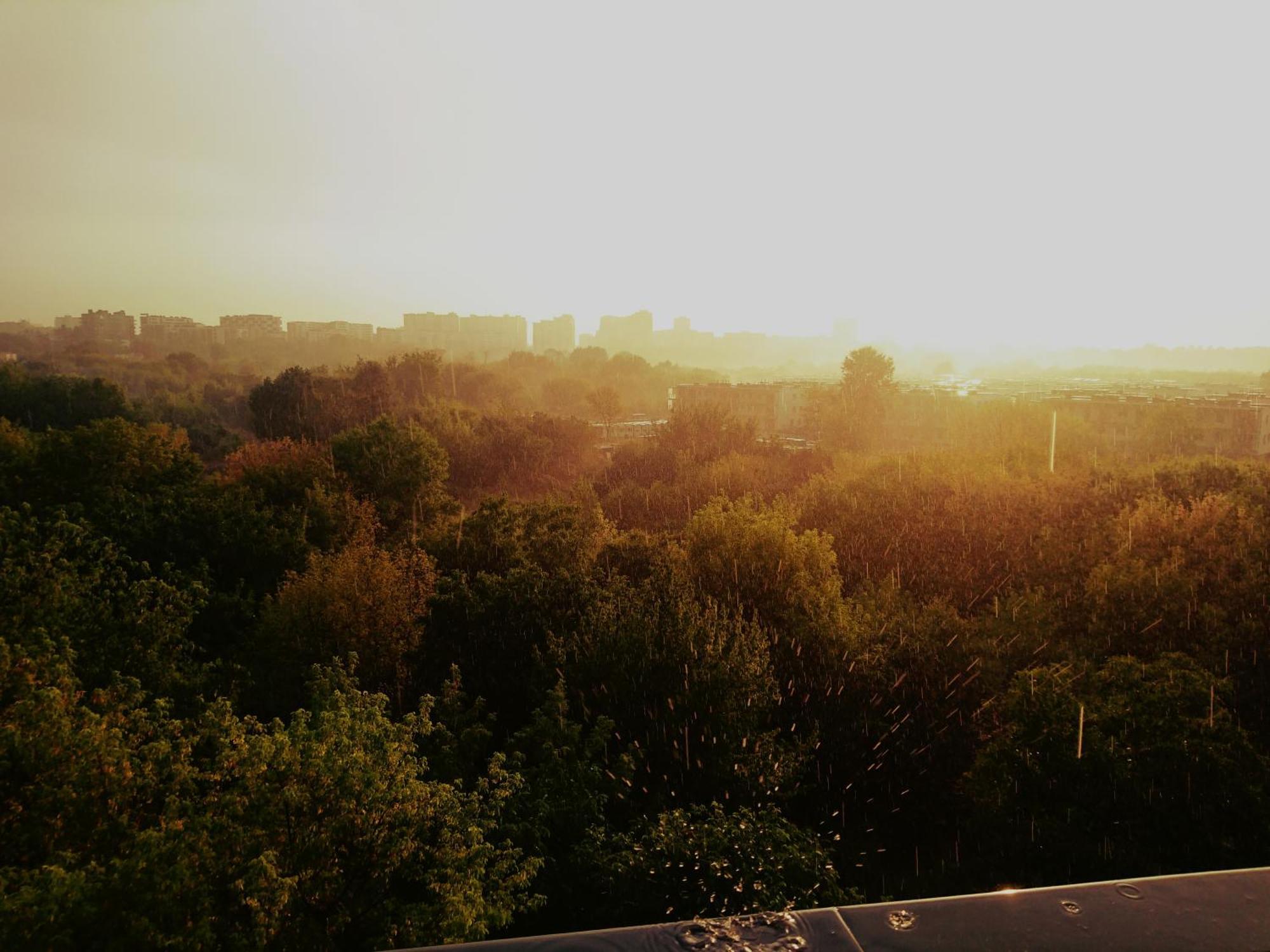 Studio Balcony