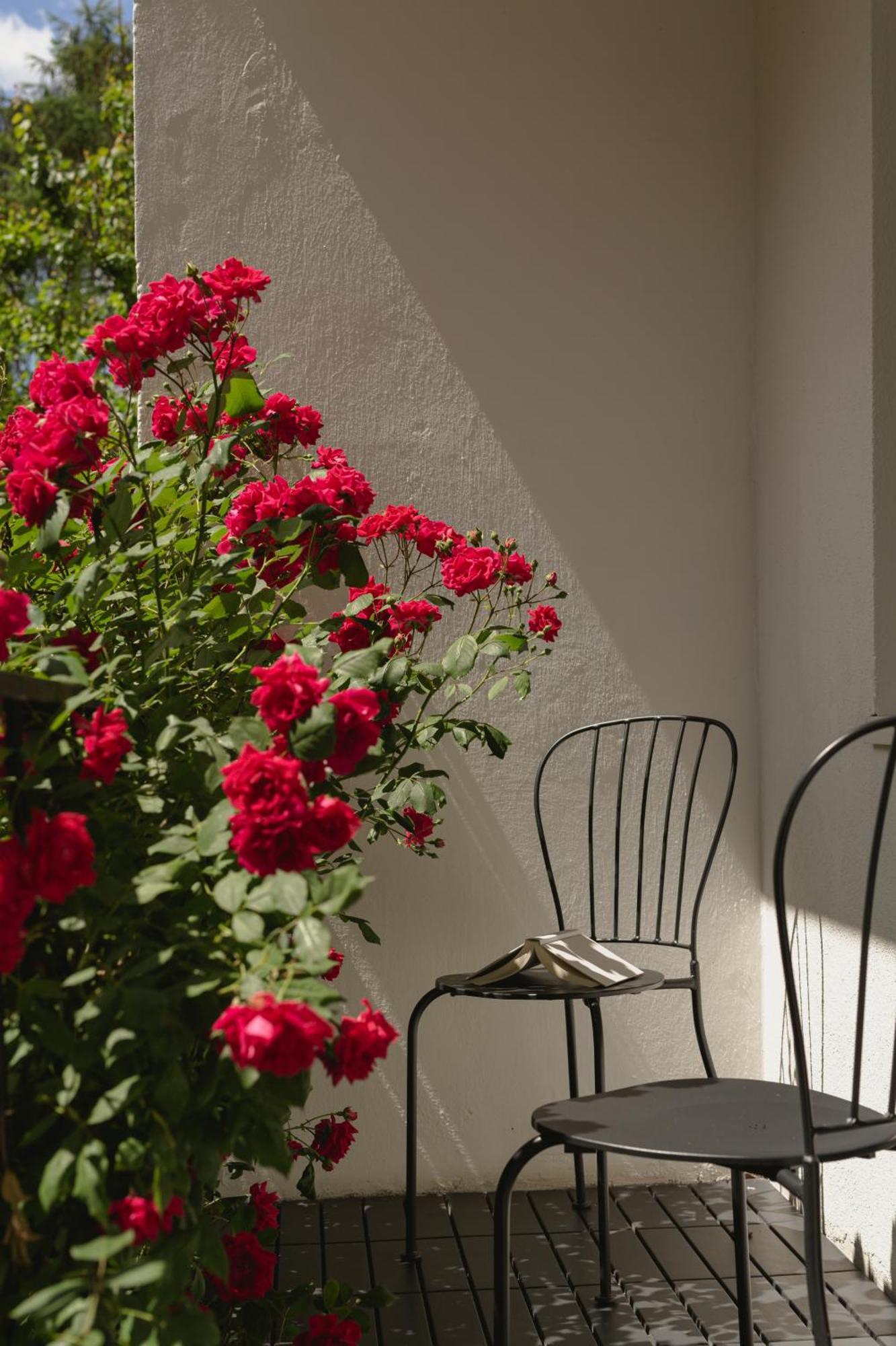 Apartment Garden View