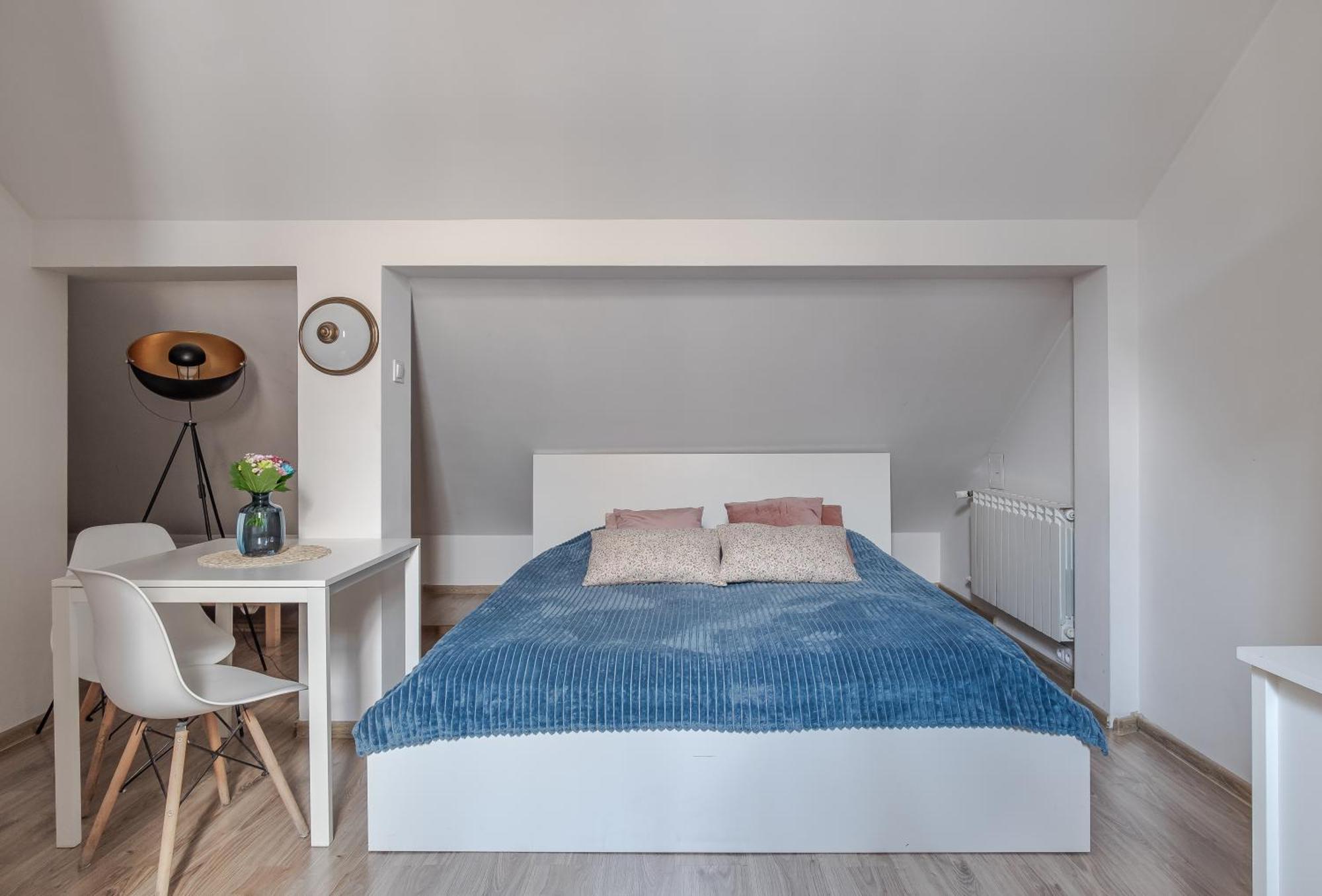 Attic Room with no view and private bathroom
