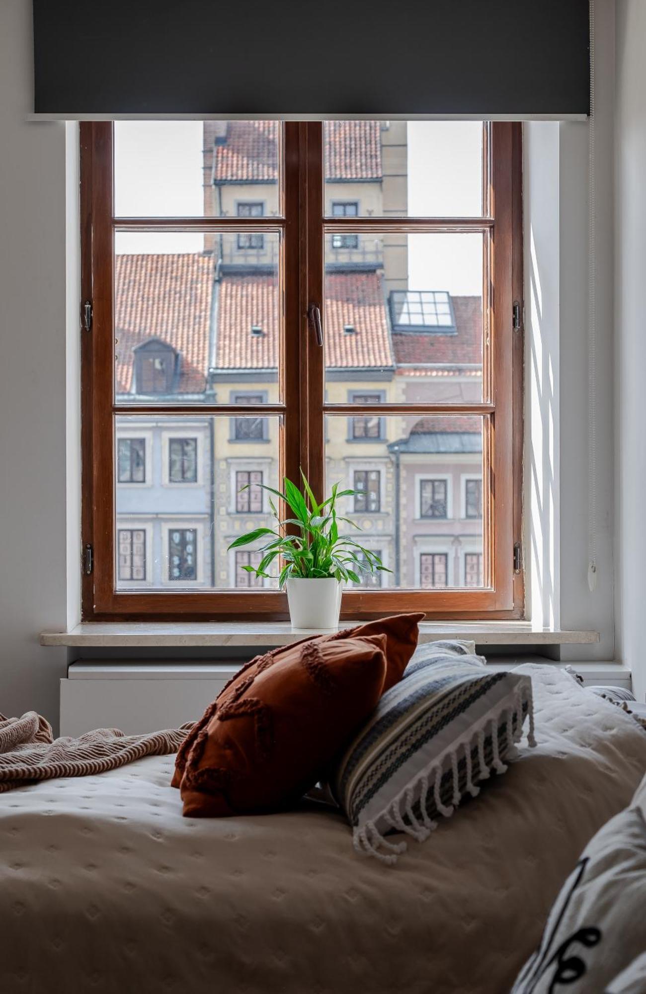 Large Apartment Old Town View