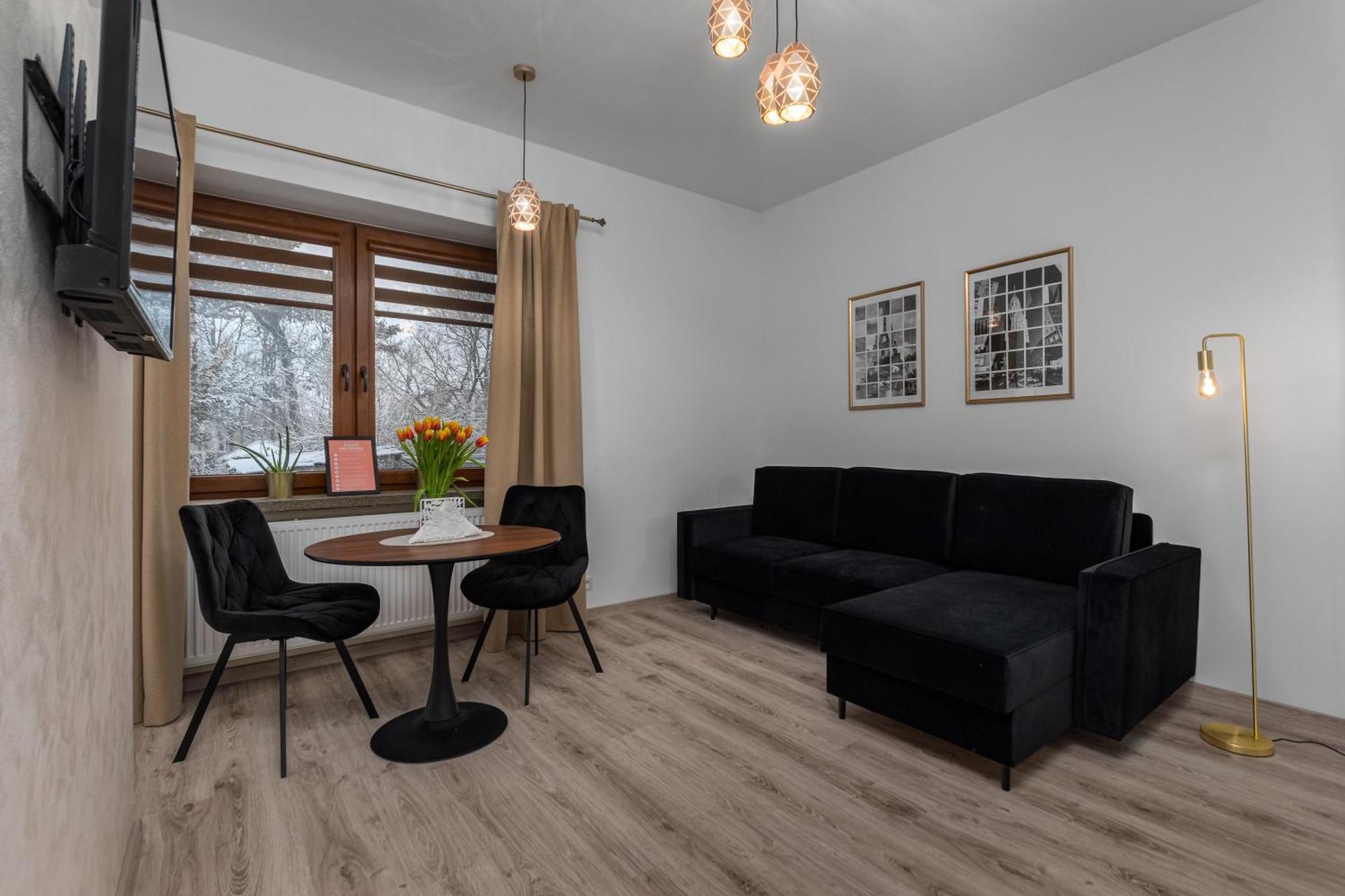 Studio Apartment