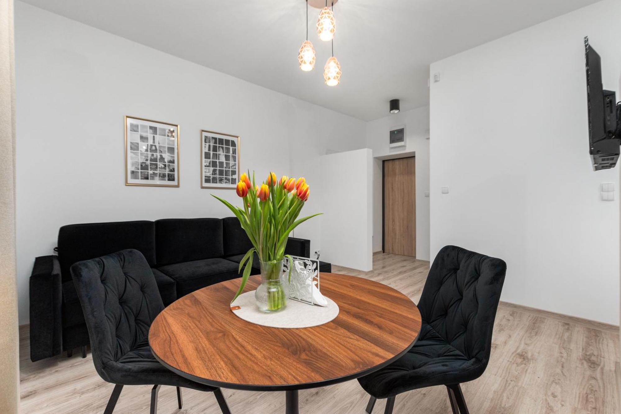 Studio Apartment