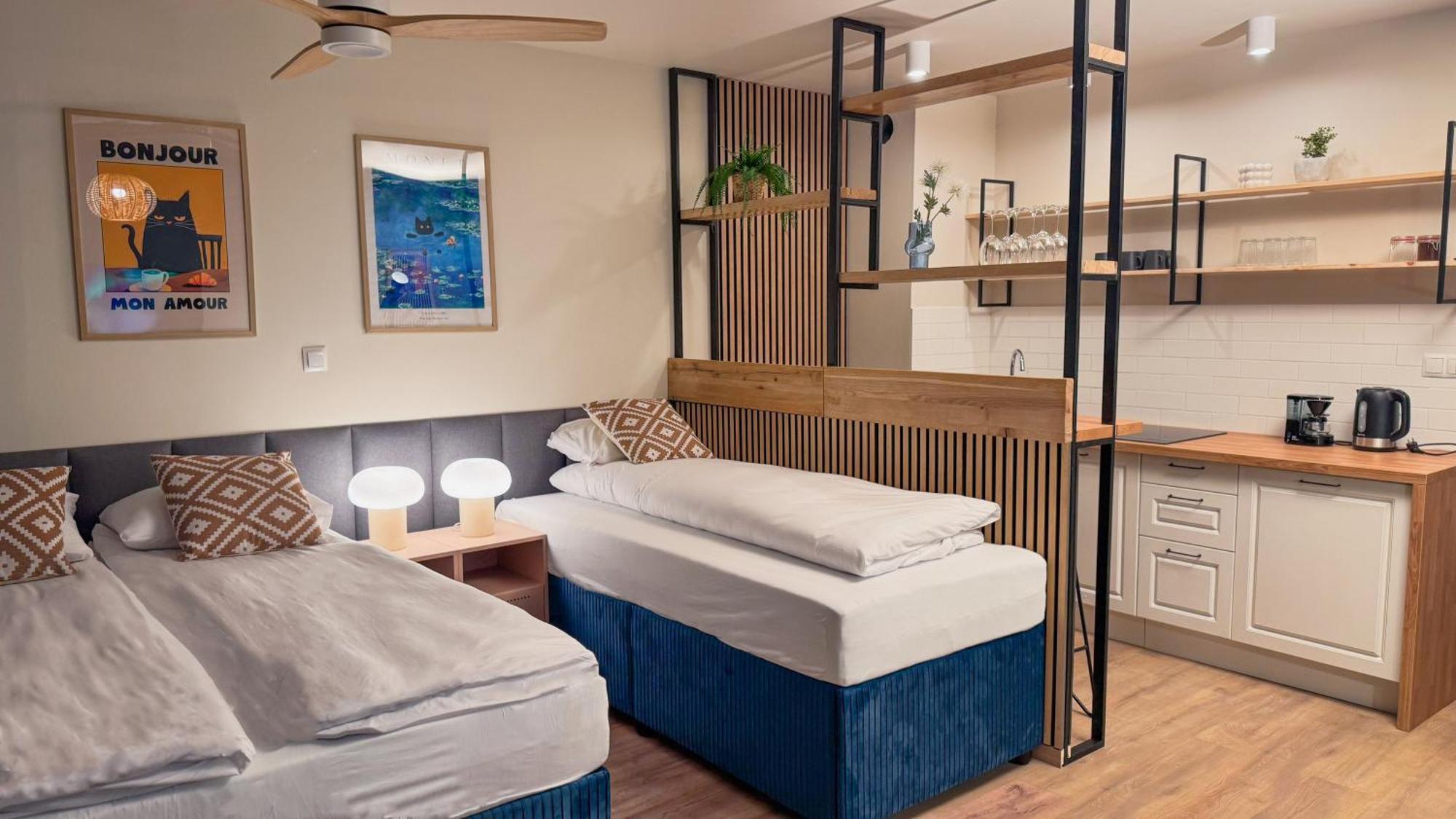 Studio Apartment