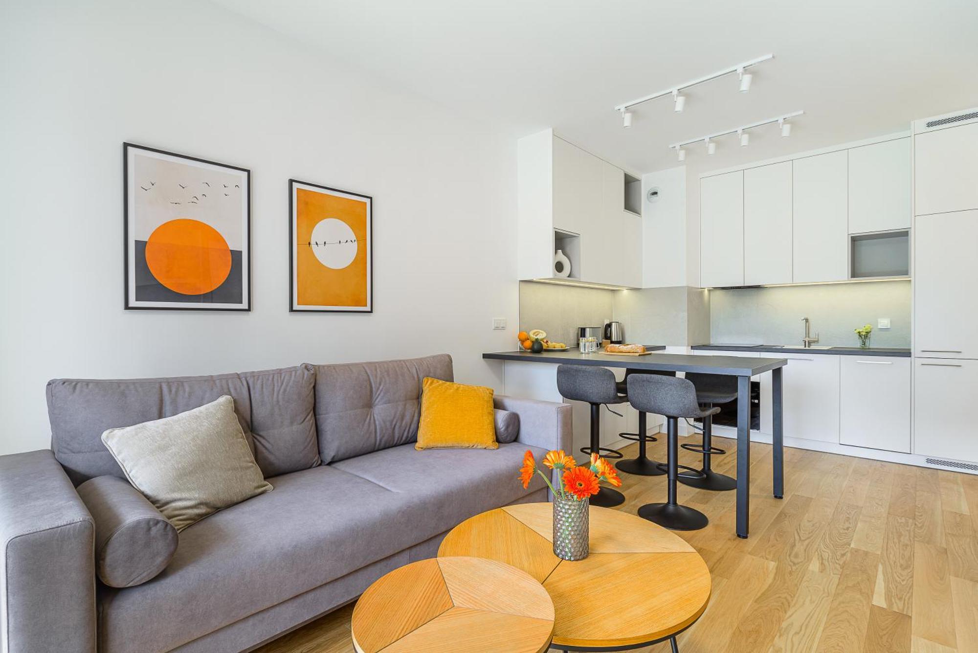 Deluxe One-Bedroom Apartment