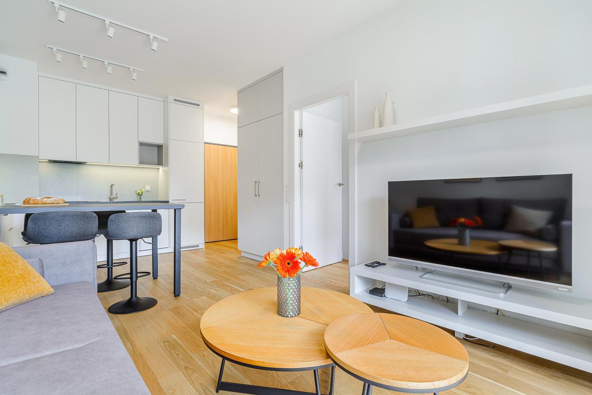 Deluxe One-Bedroom Apartment
