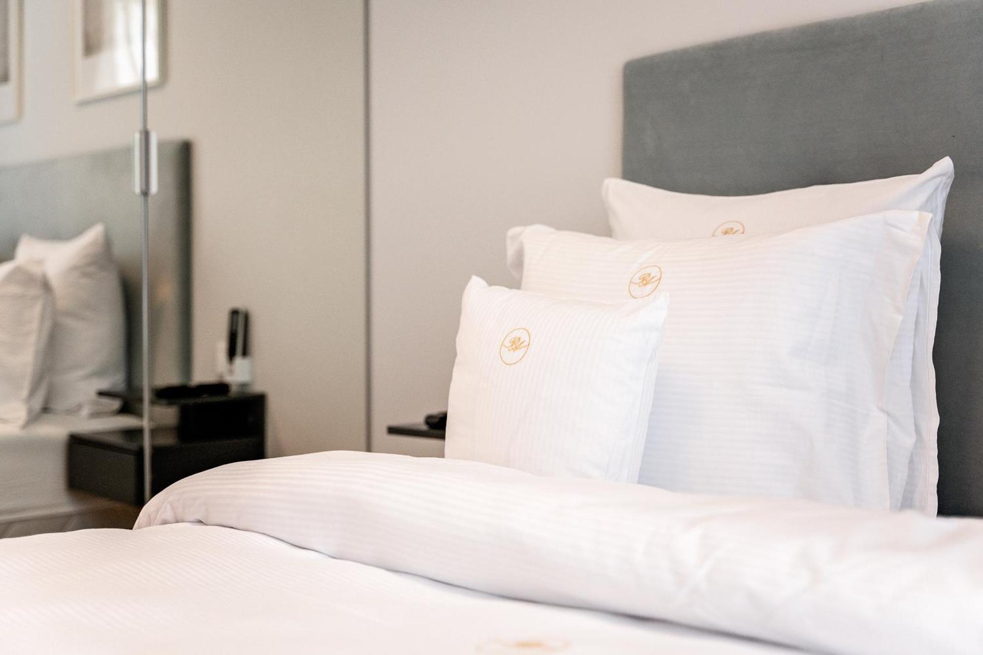 Deluxe One-Bedroom Apartment