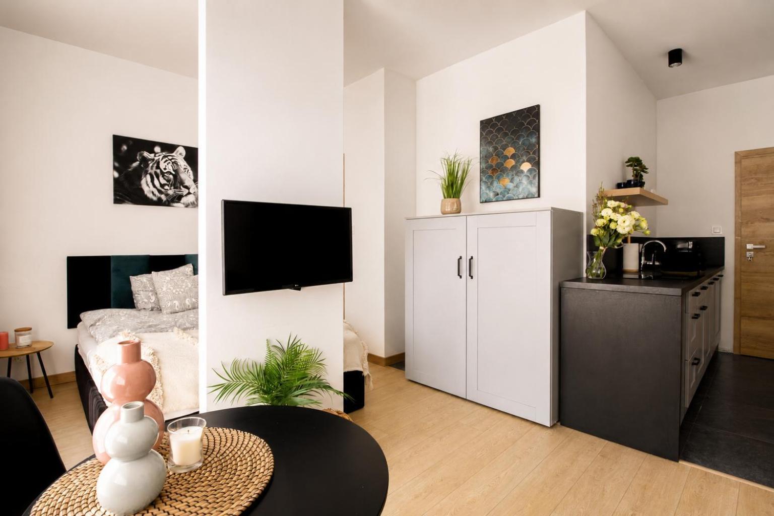 Studio Apartment