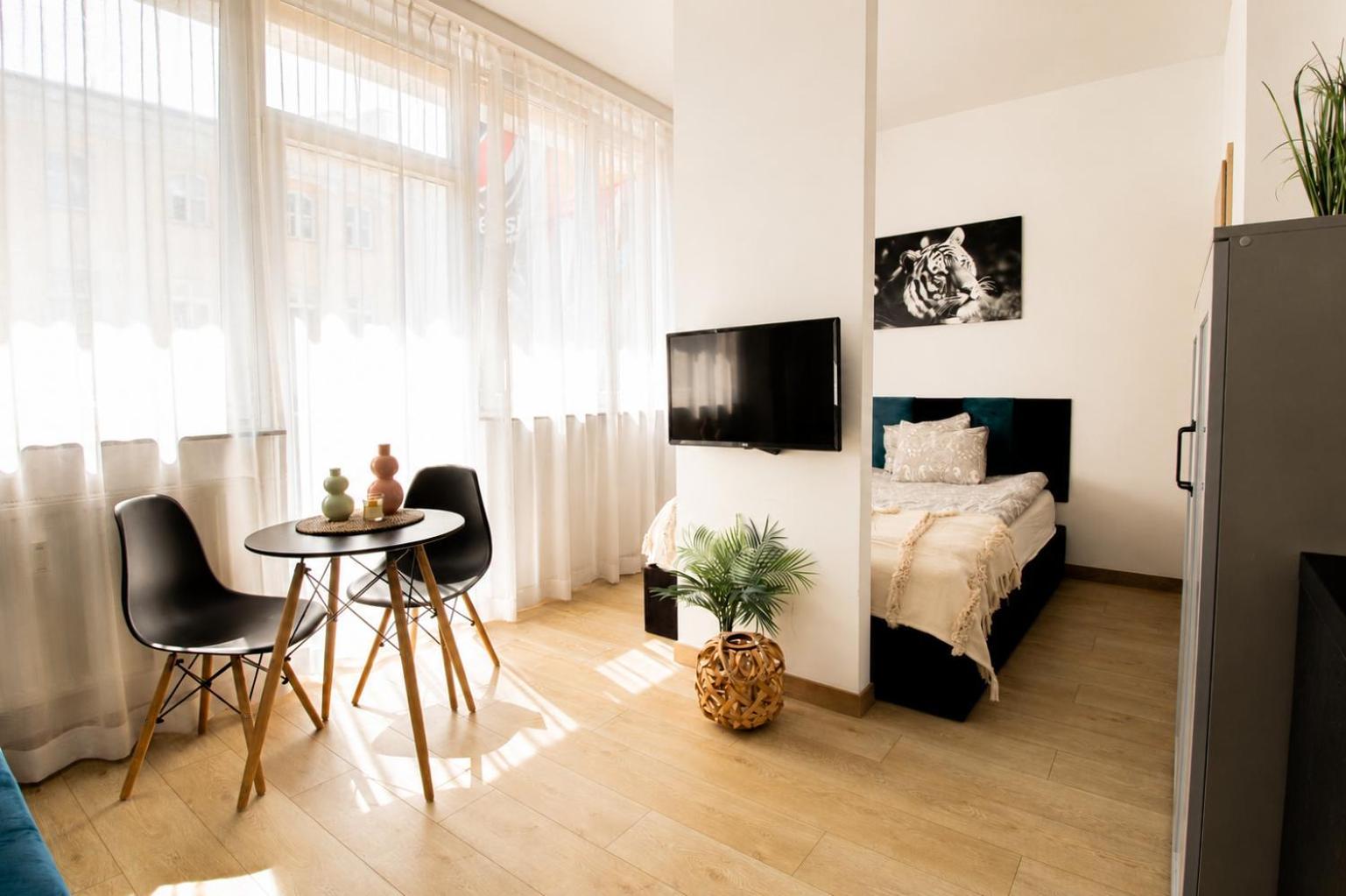 Studio Apartment