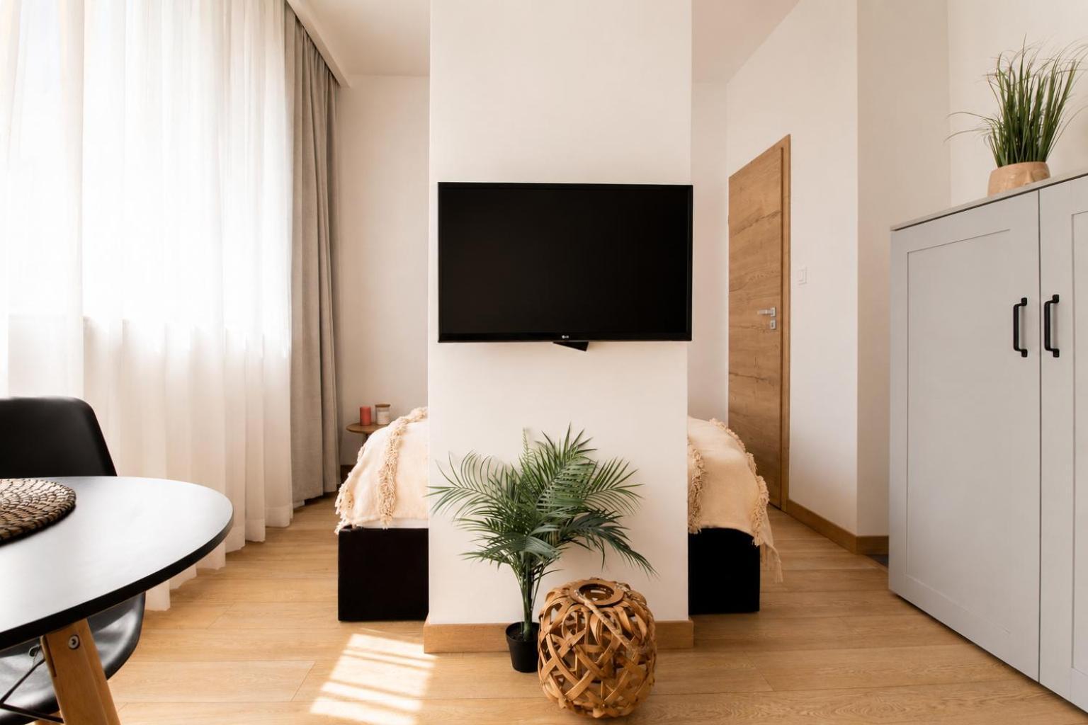 Studio Apartment