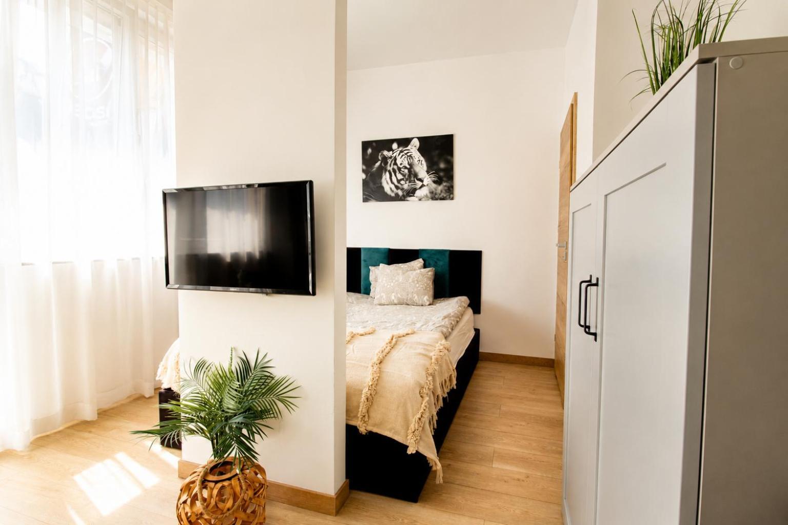 Studio Apartment