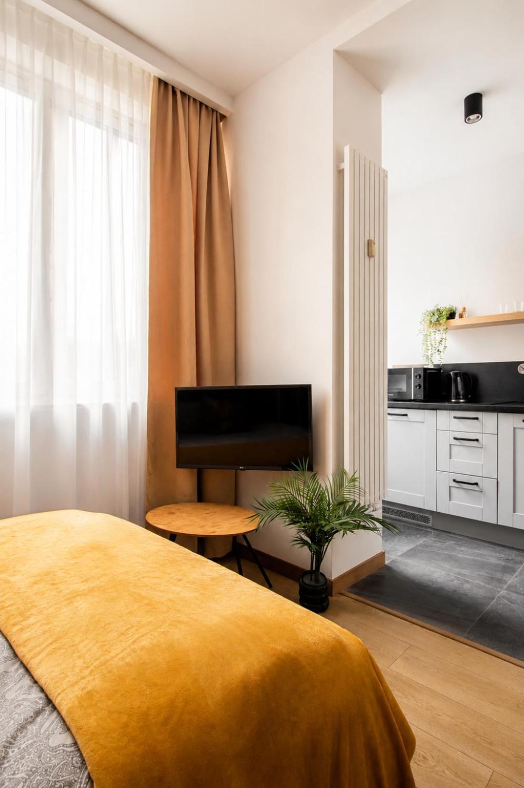 Studio Apartment