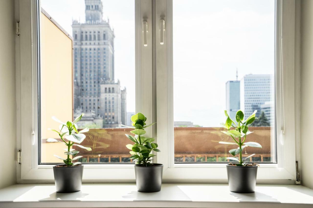 Apartment Terrace