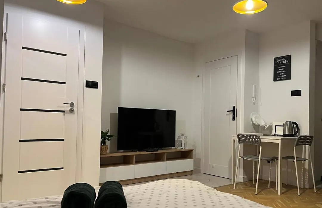 Kawalerka Premium A 29m2 - po remoncie - nowa!-1