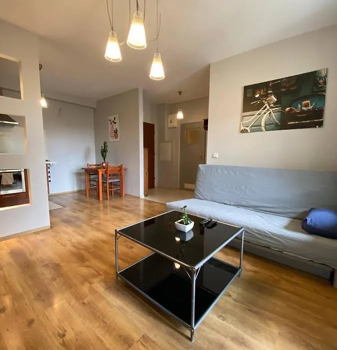 Murano Apartaments Nova Praga-1