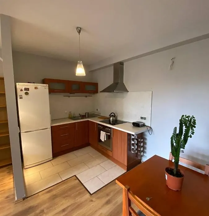 Murano Apartaments Nova Praga-1