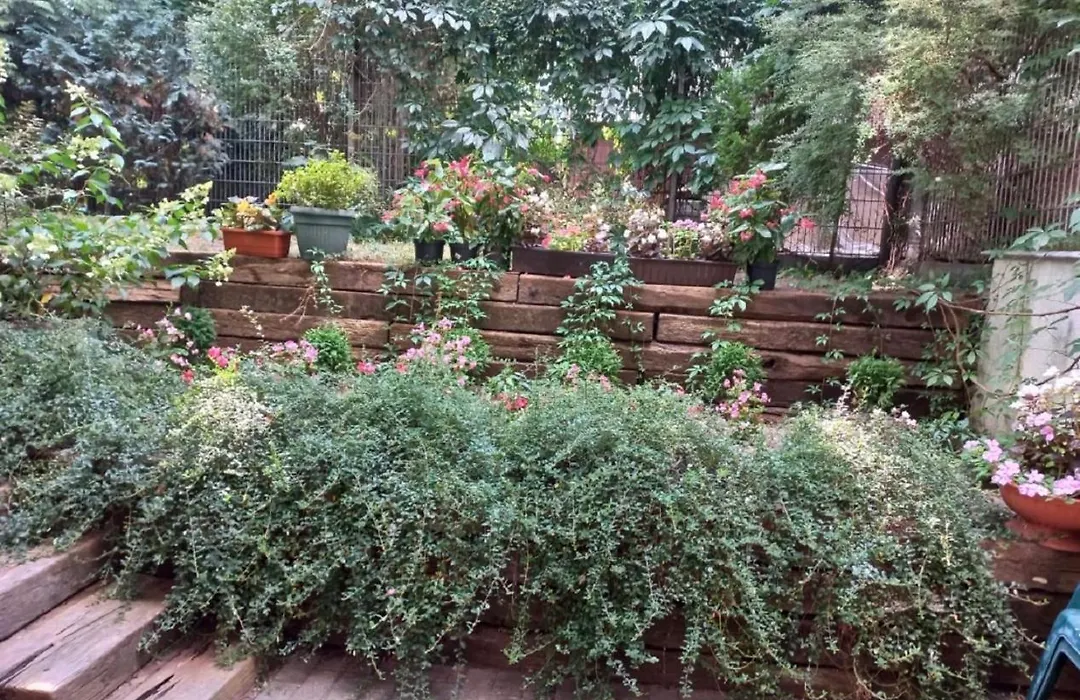 Apartament Sadul-1