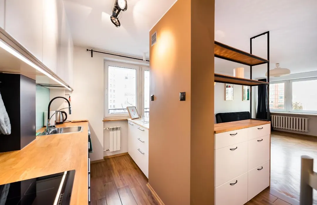 Ochota Artistic Space Apartment By Bookinghost-1