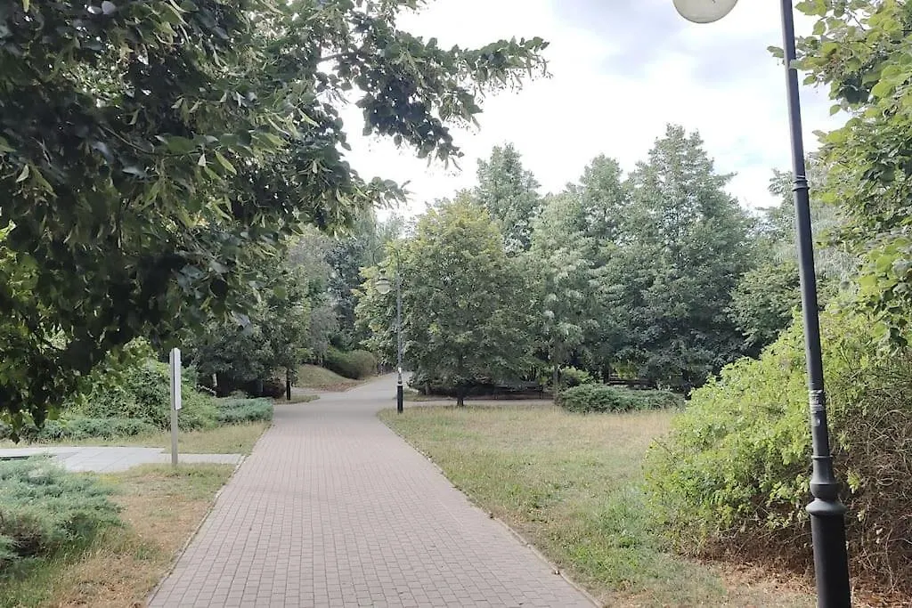Zielona Wiolinowa-1