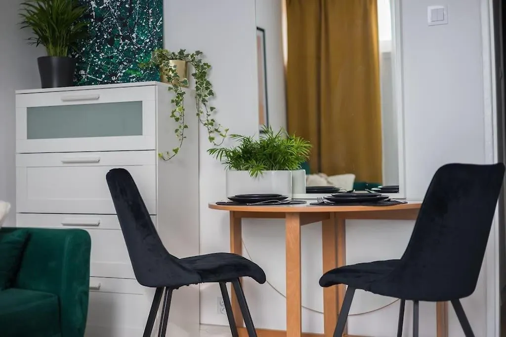 Specious City Center Studio With Park View-1