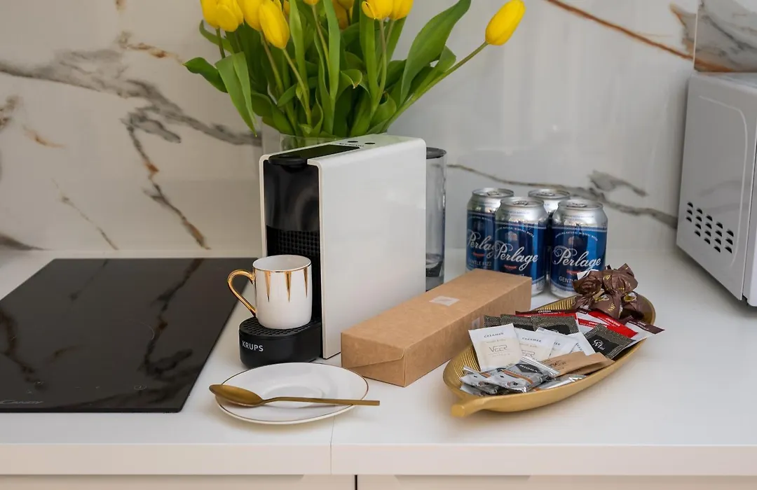 Gold Premium Central Suite 950 M To Central Station Parking-1