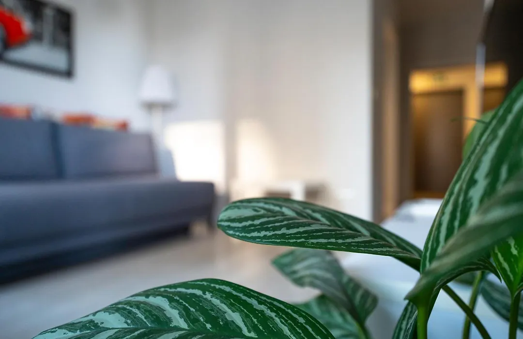Airport Residence Green-1