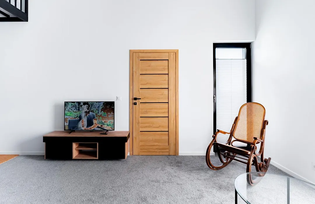 Modern Apartment With Sauna-1
