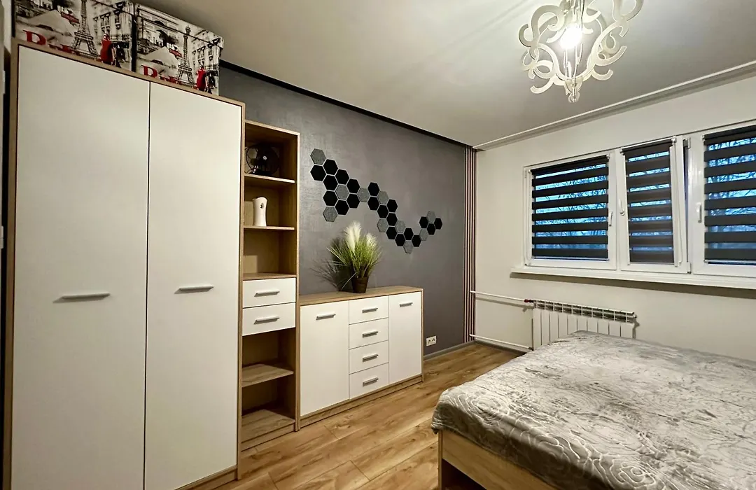 Apartament Wieluńska-1