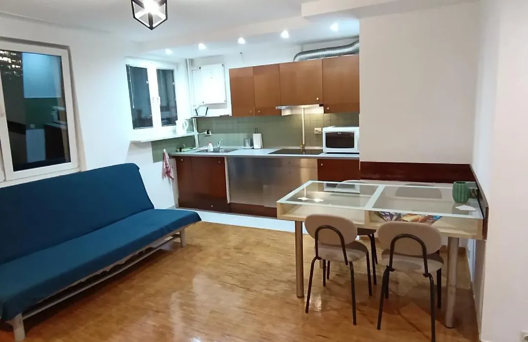 Żelazna Center Apartment-1