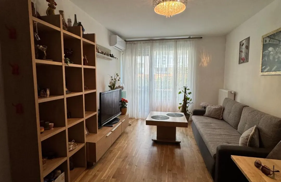 Apartament Wiatraczna-1