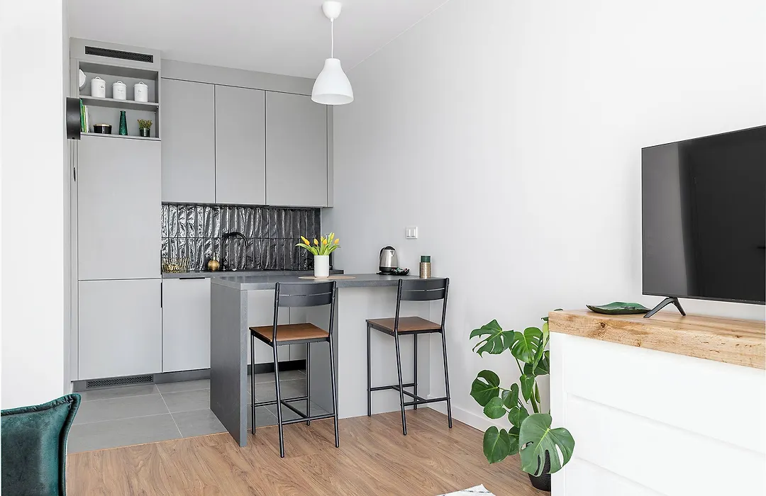 Rentplanet - Apartament Ludwiki-1