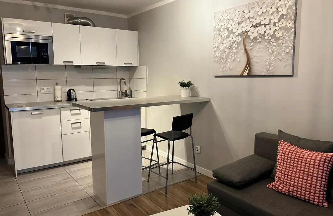 Coser Apartamenty-1