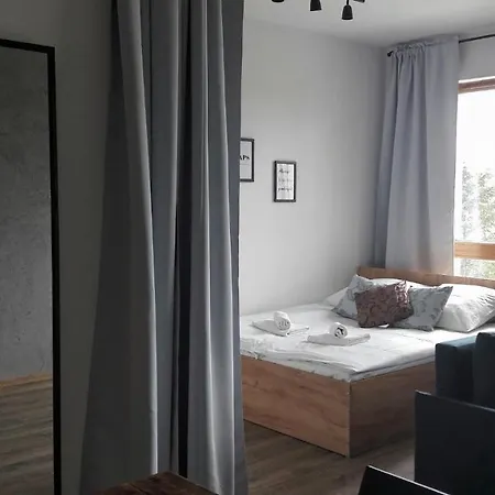 Silver Apartment in Wilanów-2