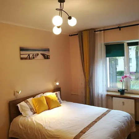 Travel Apartment-2