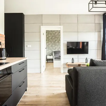 Grand Lux Apartment Grodzienska Near To Theoldtown-2