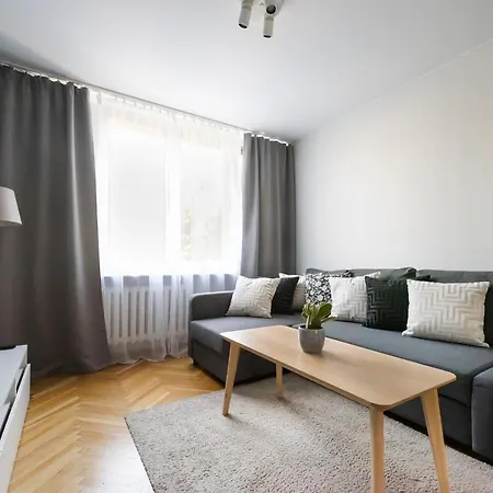 Nowogrodzka Grey Apartment By Bookinghost-2