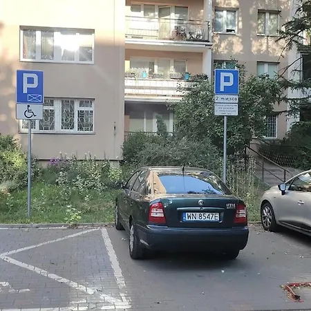 Zielona Wiolinowa-2