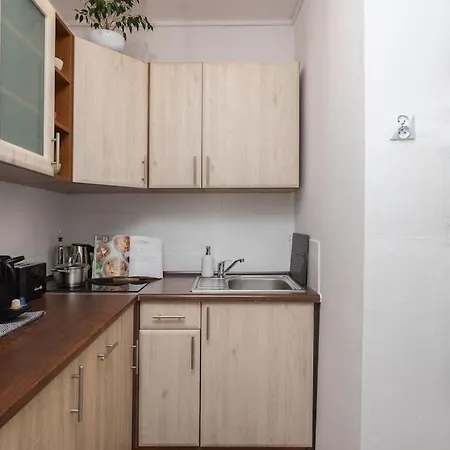 Specious City Center Studio With Park View-3