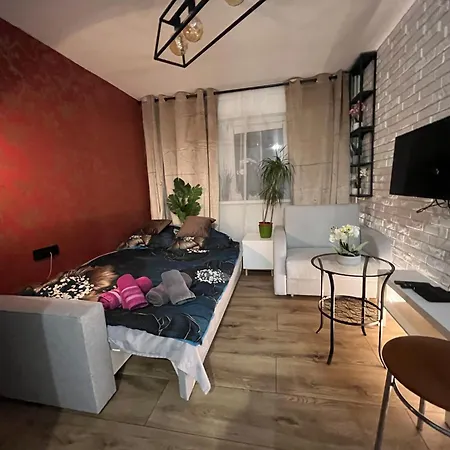 Kameralna kawalerka w stylu loftu blisko centrum-2
