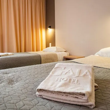 Hotel Gaja-2