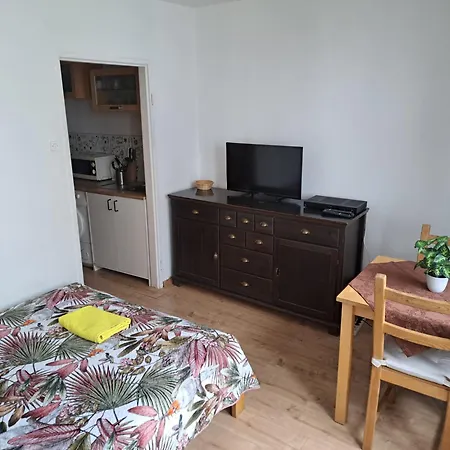 Kwatera na Wspólnej-3