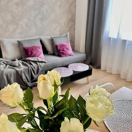 Nice Place 2 Rooms Apartment-2