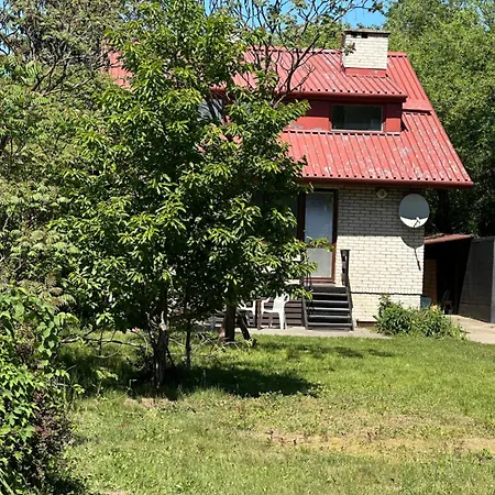 Cozy Home With A Private Yard-3