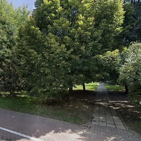 Rezydencja Filmowa- Wygodny Apartament 10 Min Od Lotniska I Centrum-2