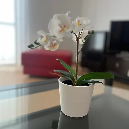 Wola Business Center Apartment-2