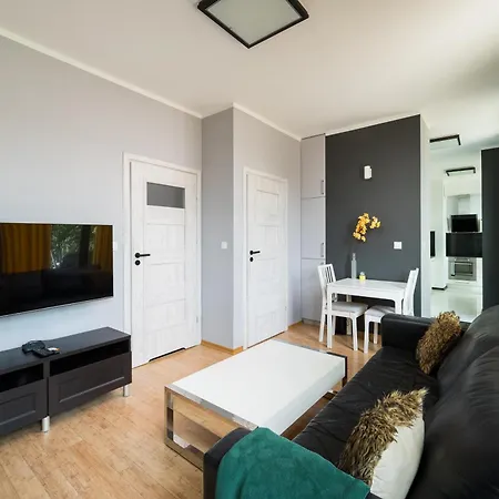 Ochota Deluxe Apartment By Bookinghost-2