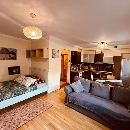 Entire Studio Flat-2