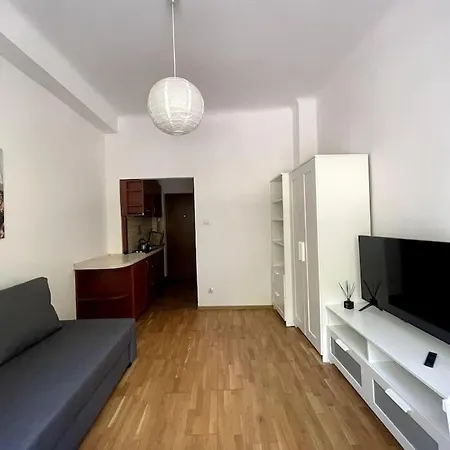 Cosy Central Apartment-2