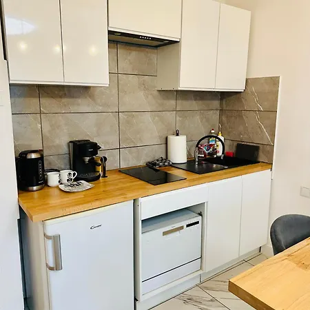 Lion Apartment-2