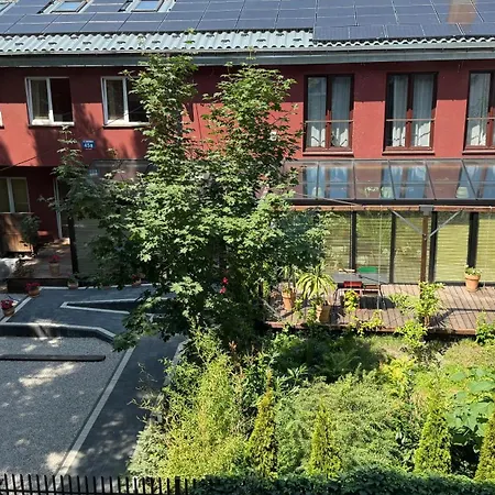 Szmulson-2