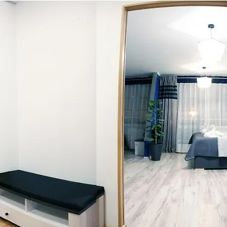 Magnetic Studio Odkryta-3